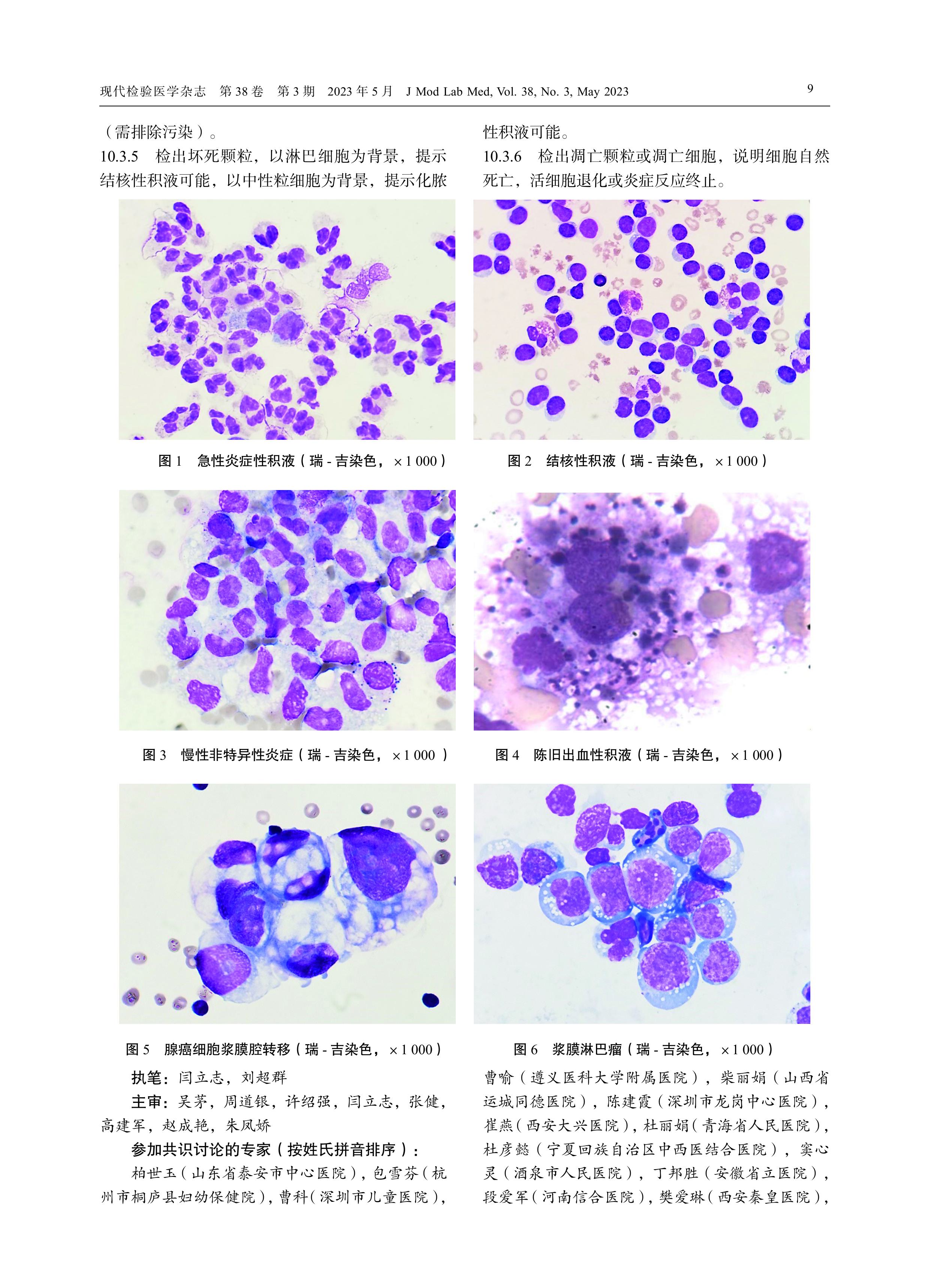 浆膜腔积液细胞形态学检验中国专家共识（2023）(1)-图片-3.jpg