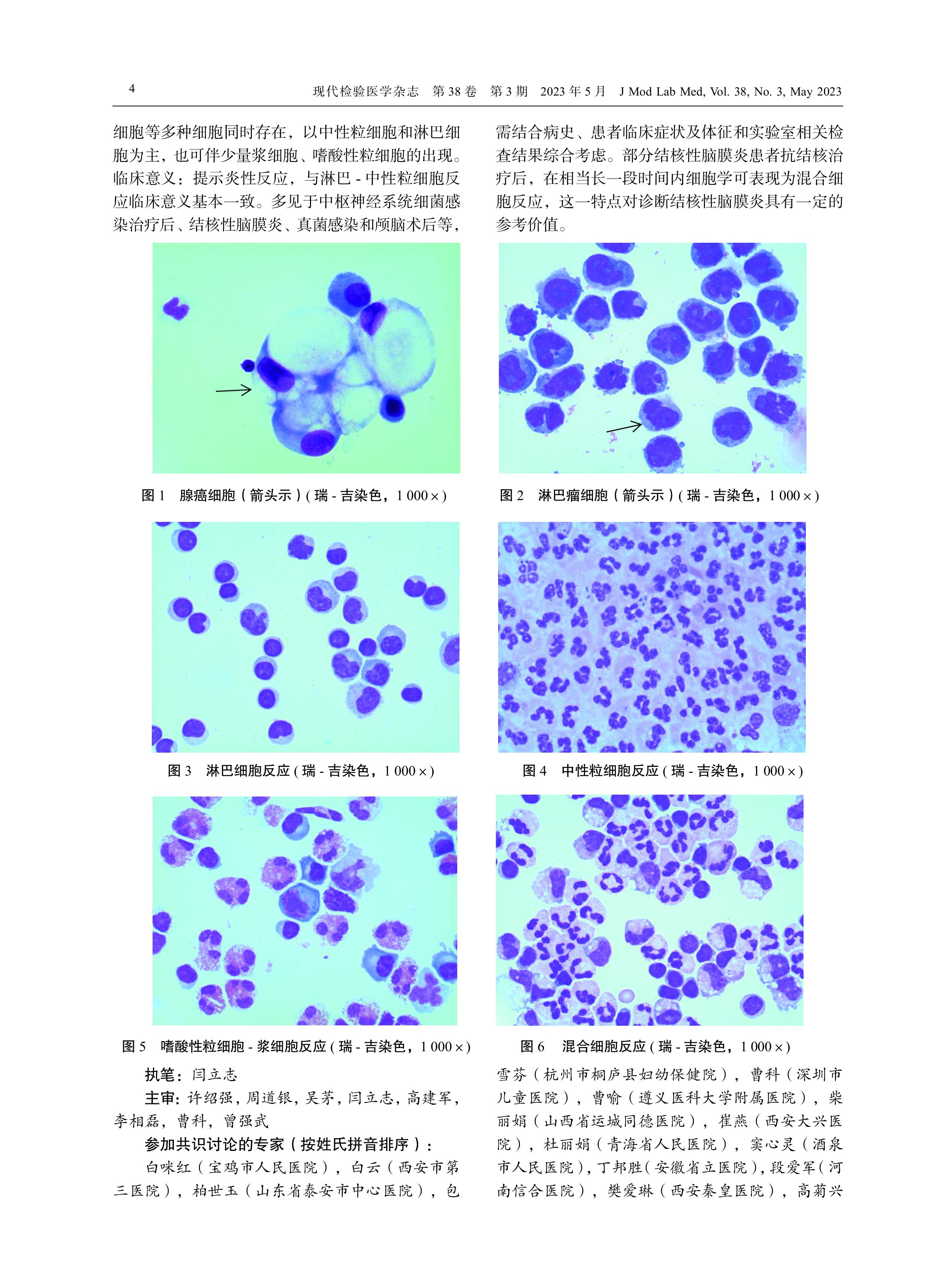 脑脊液细胞形态学检验中国专家共识（2023） -图片-3.jpg