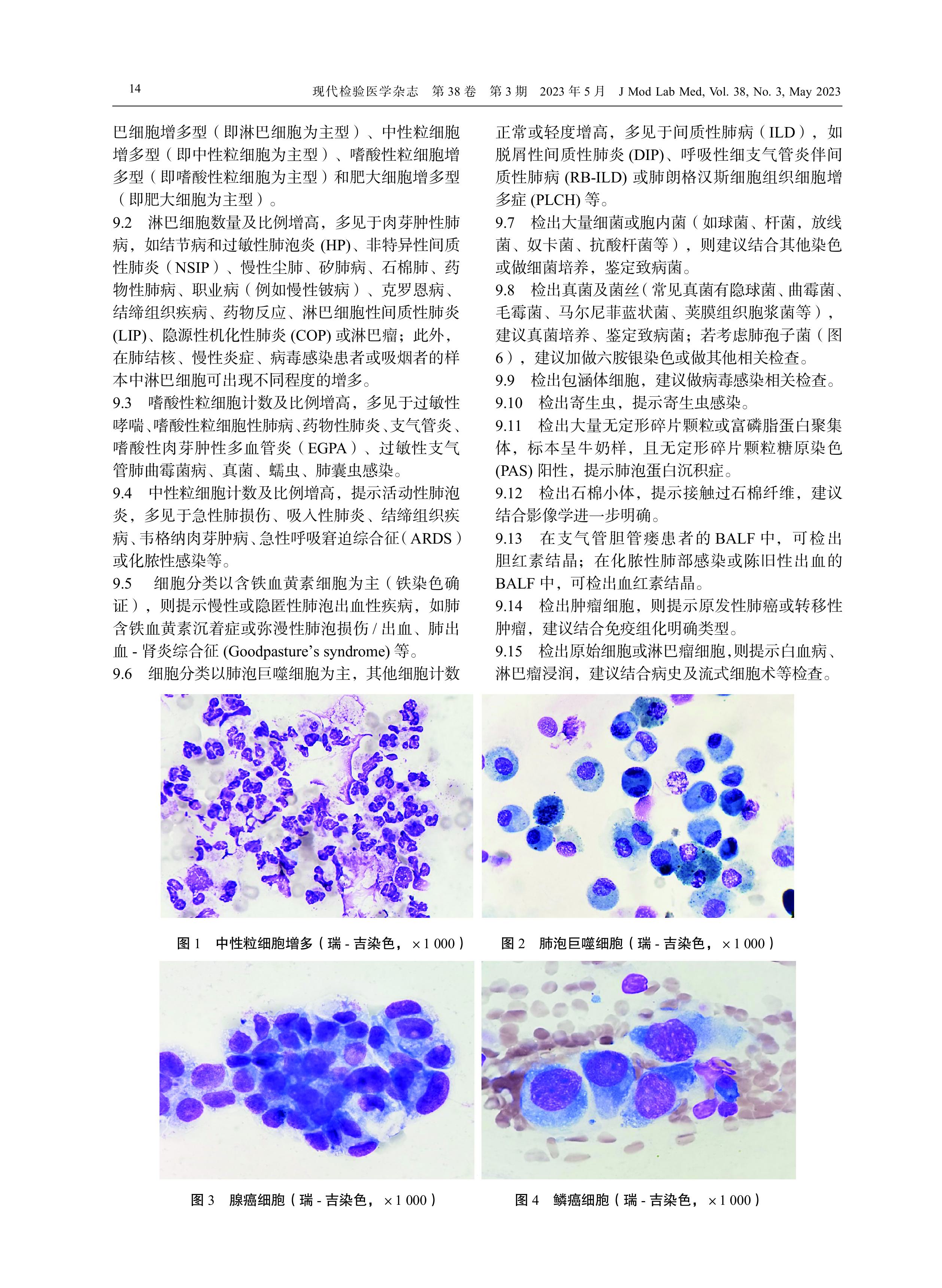 支气管肺泡灌洗液细胞形态学检验中国专家共识（2023）-图片-3.jpg
