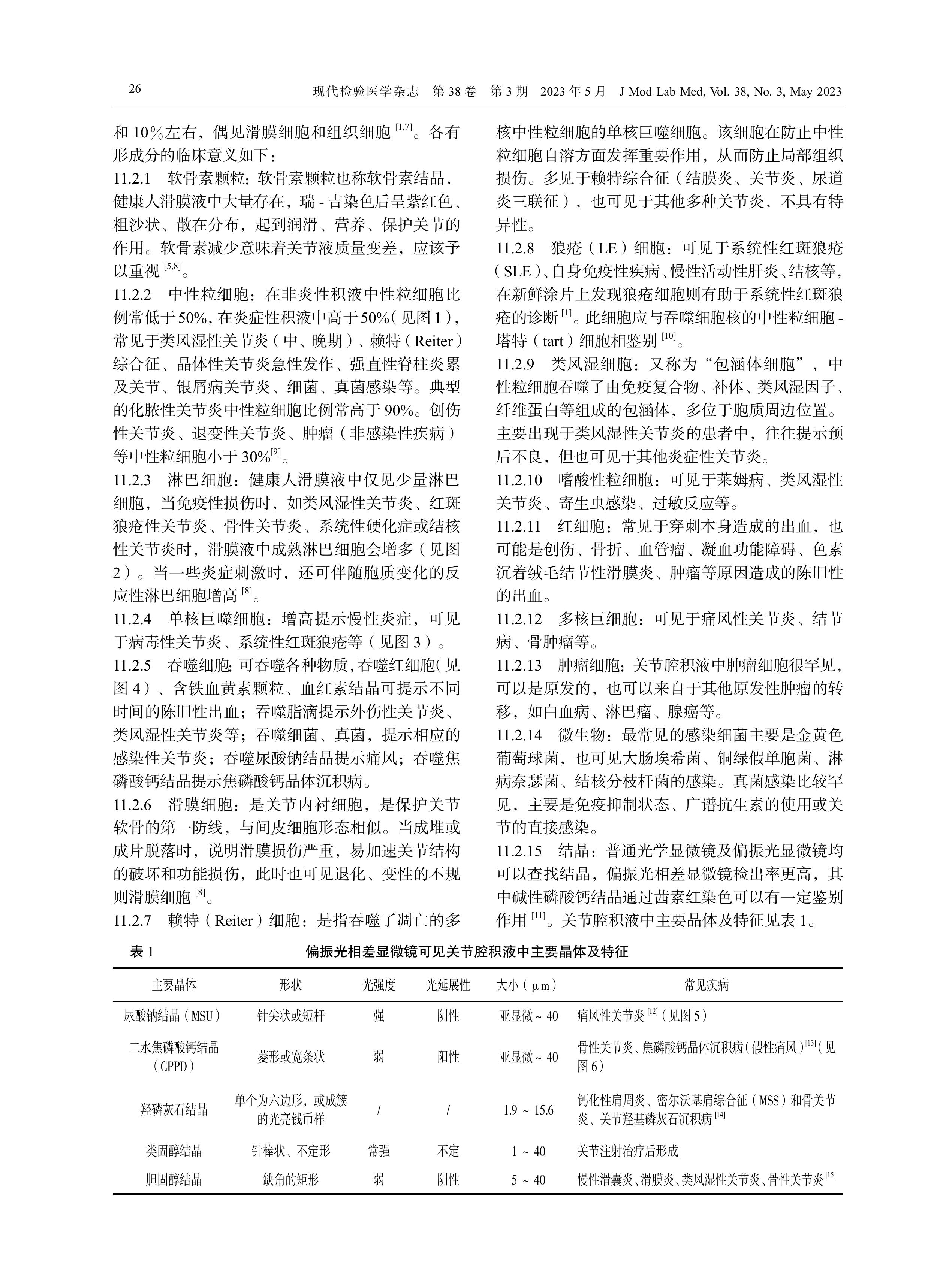 关节腔积液细胞形态学检验中国专家共识（2023）-图片-2.jpg