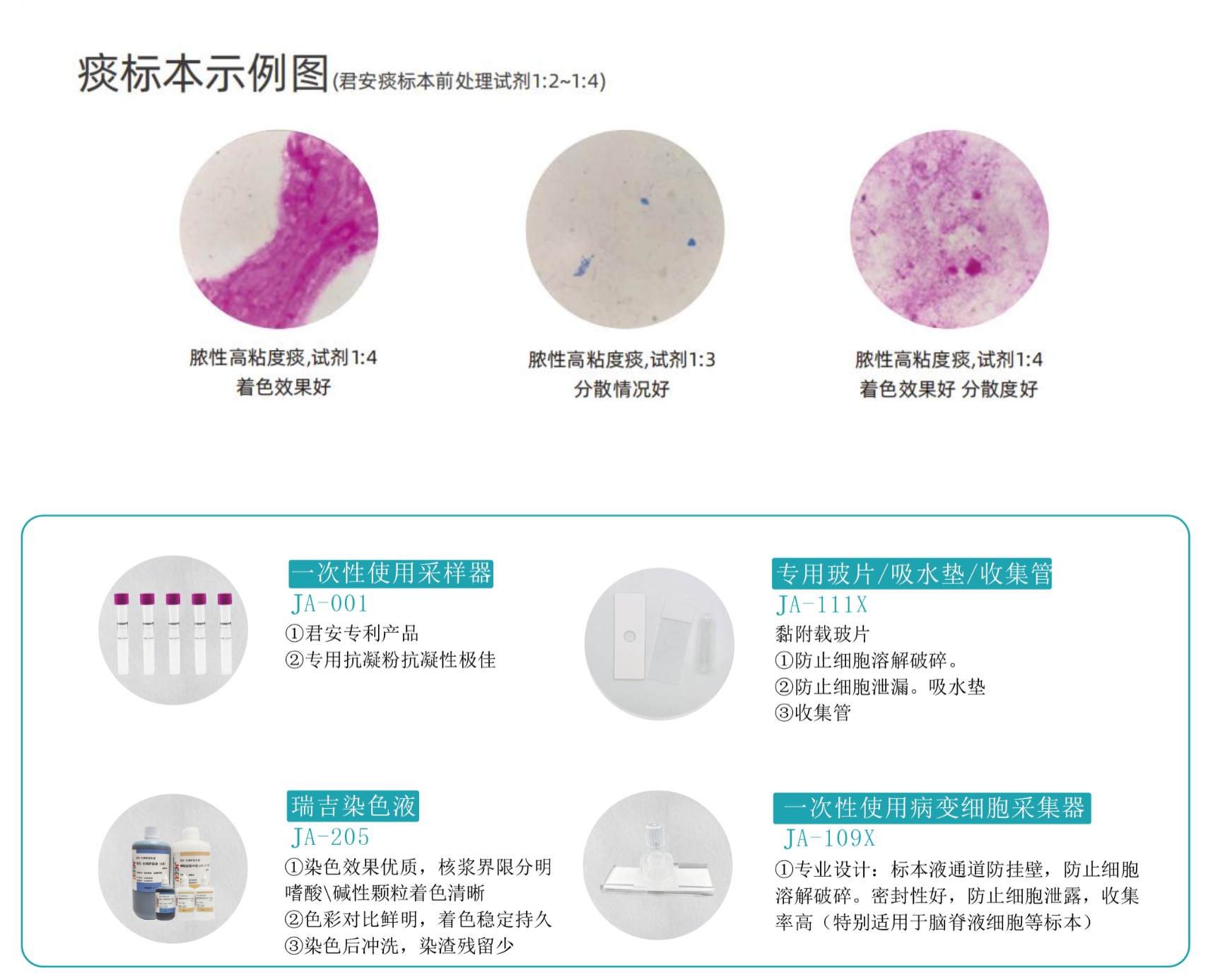 痰标本示意图.png