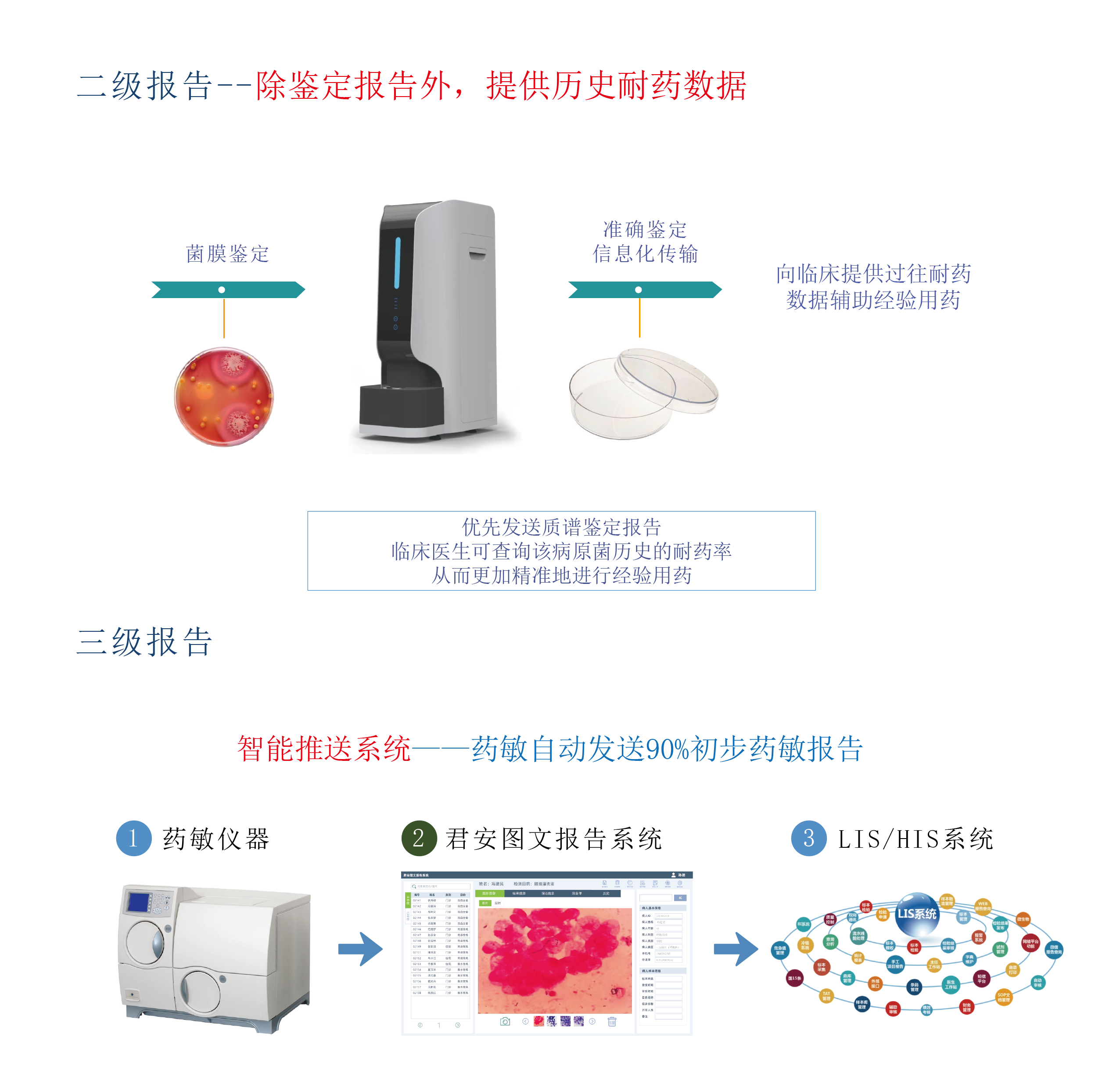 微生物图文报告系统0827_画板 1 副本 3@1x.png